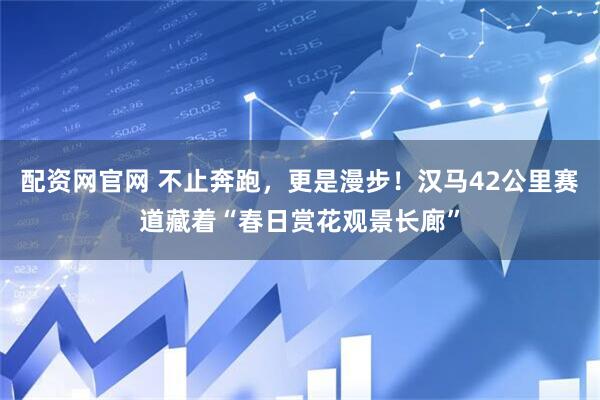 配资网官网 不止奔跑，更是漫步！汉马42公里赛道藏着“春日赏花观景长廊”