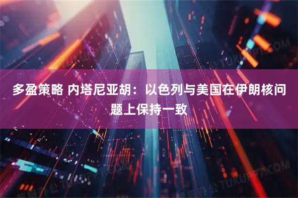 多盈策略 内塔尼亚胡：以色列与美国在伊朗核问题上保持一致